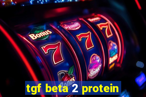 tgf beta 2 protein